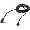 Paramount 3' Coiled Sync Cord PMSP3C - $19.95