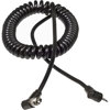 Paramount 5' Coiled Sync Cord PMV54V - $24.95