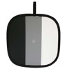 PhotoVision 34" Original One-Shot Digital Target DT34012