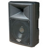 Pyle PPHP1559 700 Watt 15" Two-Way Plastic Molded Speaker Cabinet PPHP1559
