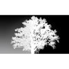 Composite Wizard