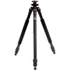 Basalt Tripod