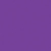 Rose Purple