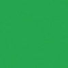 Rosco Roscolux Moss Green 89