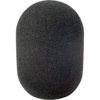 Rycote 45/100 Large Diaphragm Mic Foam Windscreen 103123