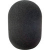 Rycote 104423 103 Large Diaphragm Mic Foam Windscreen 104423