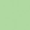 Savage Seamless Background Paper - $14.95