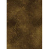 Savage Infinity Series 4060141020, Flash/Lighting > Backgrounds & Background Support Equipment > Muslin Backgrounds > Savage Muslin Backgrounds
