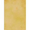 Savage Infinity Series 4060161020, Flash/Lighting > Backgrounds & Background Support Equipment > Muslin Backgrounds > Savage Muslin Backgrounds
