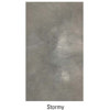 Savage 9x10' Infinity Series Hand Painted Canvas Background C2000910
