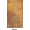 Hand Painted Backgrounds
