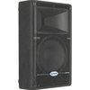 Samson SARS12MHD Resound HD 12" Wedge Monitor Speaker SARS12MHD