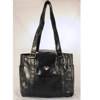 Shutterbug Designs Lady Bug Vinyl Bag LBV9S