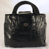 Shutterbug Designs Ladybug Black Vinyl Bag LBV9W