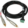 Female Rca