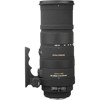 Sigma 500mm Lenses