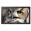 Sharp PN-T321 32" Class Professional LCD Monitor PN-T321