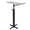 Sirchie Universal Photo Identification Stand 827P