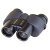 Simmons 10x25 AETEC, Compact Rubber Coated, Weather Resistant Porro Prism Binocular with 4.9 Degree Angle of View, U.S.A.