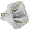Sony LMP-S120 120 watt Lamp LMPS120 - $399.00