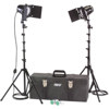 Barndoor Light
