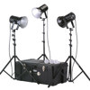 Smith Victor K83 750-Watt Photoflood Kit 401461