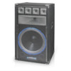 Technical Pro VRTX15 15" Six Way Carpeted Cabinet Speaker VRTX15