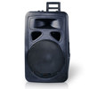 Technical Pro 15" Battery Powered PA System Dual Wireless VHF Microphones WASP1300WBT