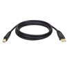 Tripp Lite 6' USB 2.0 A/B Male Gold Device Cable U022006 - $11.99