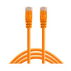 Networking Cables