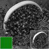 Hoya 55mm Green X1 Filter