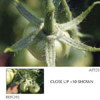 Hoya 58mm Close-up Set +1,2,4 Hmc