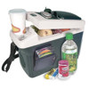 Wagan 2296 10.5 Liter DC Powered Thermo Beverage & Food Cooler / Warmer. 2296
