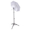Flash Collapsible