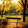 Westcott Photo Basics 6' x 8' "Autumn 935