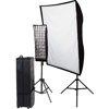 Westcott Spiderlite TD6 Perfect Portrait Two Light Fluorescent Kit Deluxe, 110V Voltage