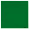Cokin Z-Pro Series Green Filter Z004