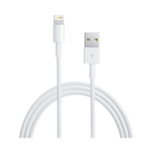 Apple Lightning to USB Cable, ZML: Picture 1 regular