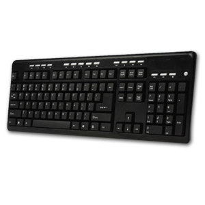 Adesso Desktop Multimedia PS/2 Keyboard AKB-131PB