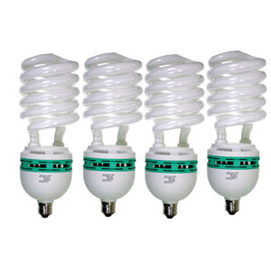  Alzo Digital 85 Watt Photo Compact Fluorescent Photo Bulbs, Color Temperature 5500K, Set of 4 