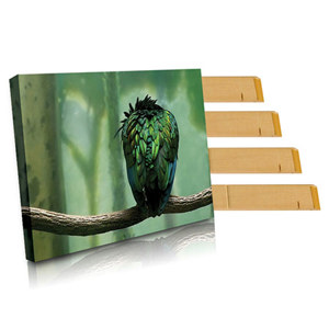  Breathing Color EasyWrappe 1.25" Bars, 9" Length (20 Pieces) 