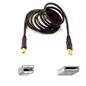 Belkin Gold Series USB 2.0 A to B Interface Cable, 10ft: Picture 1 regular