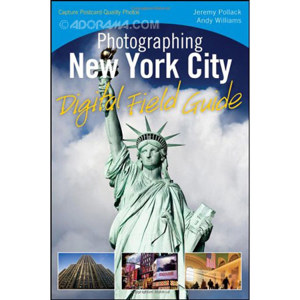 Photographing New York City Digital Field Guide: Picture 1 regular