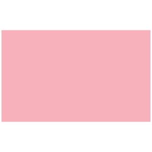  Adorama seamless Background Paper, 53" wide x 12 yards, Pastel Pink, #17 