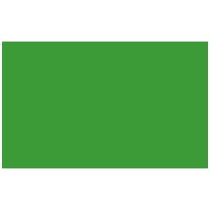  Adorama Seamless Background Paper, 53" wide x 12 yards, Veri-Green, #31 