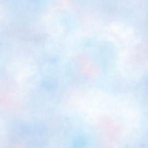 Adorama Background Canvas 6 x 8 Ft, Sherbert: Picture 1 regular