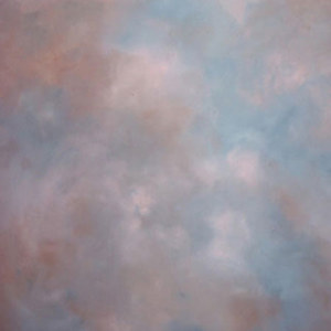  Adorama Background Canvas 7'X8' Aspen 