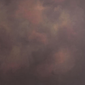  Adorama Background Canvas 8'X8' Rembrandt 