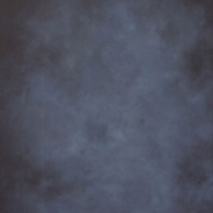  Adorama Background Canvas 8'X8' Wellington 