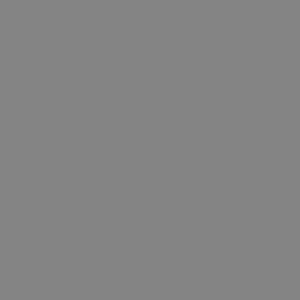 Studio Dynamics 10x10' Muslin Background